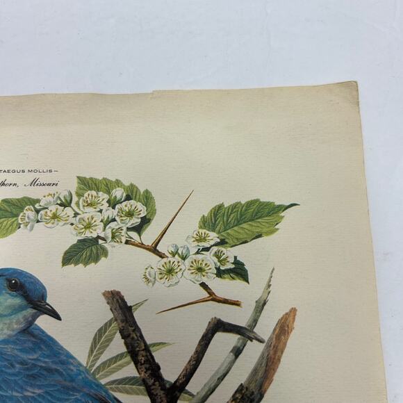 Vintage MCM Arthur Singer Series of Paintings American Home Magazine #'s 1,2,&6 - Picture 9 of 16